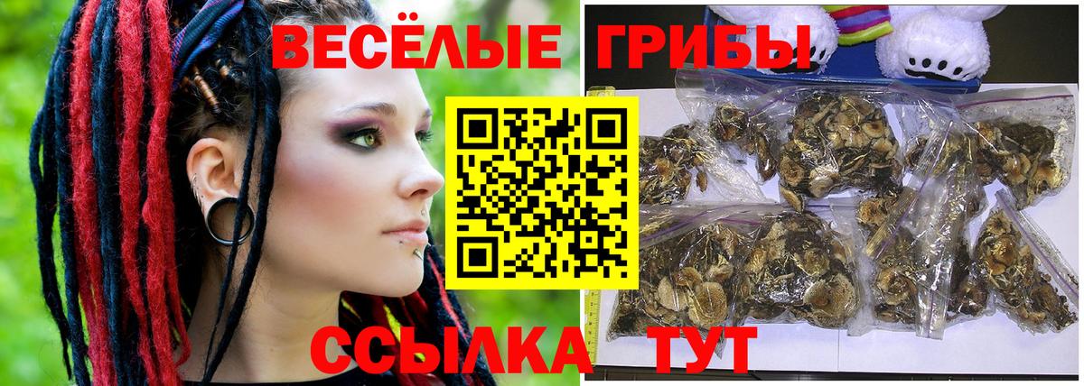 Новосибирск  Галлюциногенные грибы GOLDEN TEACHER  закладка  Вход с VPN 