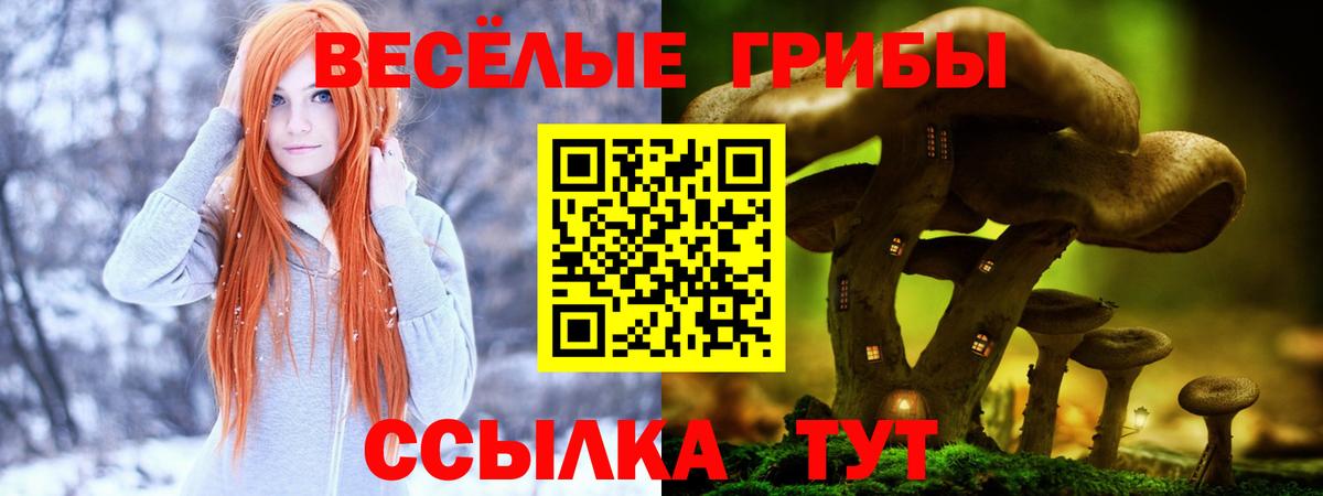 Галлюциногенные грибы ЛСД Новосибирск