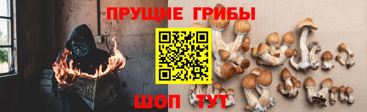Новосибирск  МЕФ   Кокаин  Alpha PVP СК кристаллы  Вход с VPN  Продажа наркотиков 